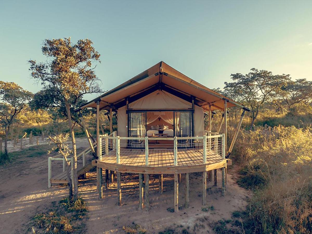 Mdluli Safari Lodge Hazyview Extérieur photo